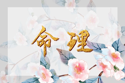 万年历老黄历吉日查询,万年历查日子,老皇历万年历